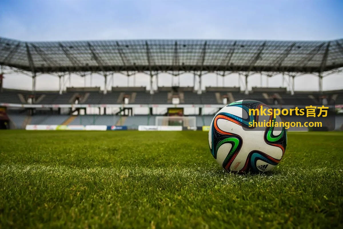 mksports官方数据面板导出说明