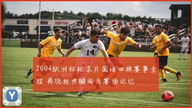 2004欧洲杯纪录片国语回顾赛事全程 再现经典瞬间与赛场记忆