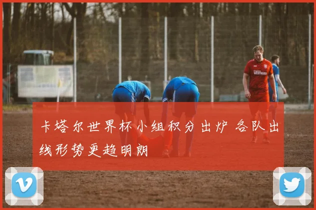 卡塔尔世界杯小组积分出炉 各队出线形势更趋明朗