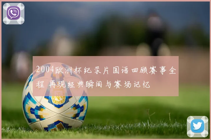 2004欧洲杯纪录片国语回顾赛事全程 再现经典瞬间与赛场记忆